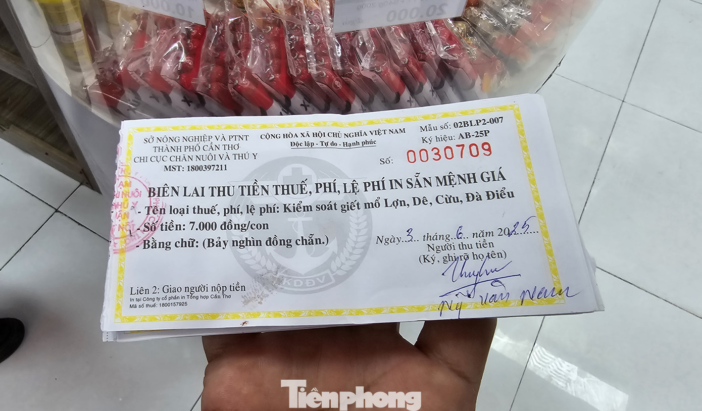 Biên lai thu phí giết mổ.