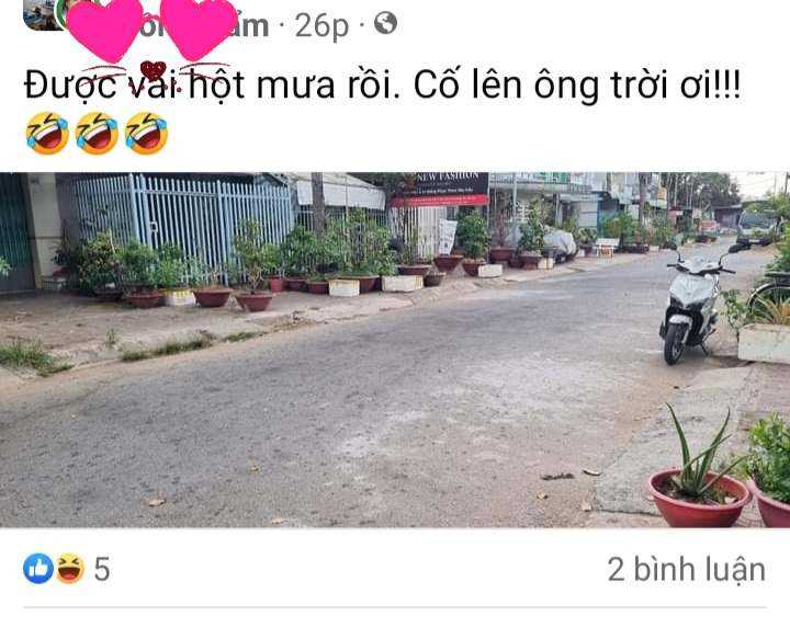 Cảm giác háo hức từ khi bắt đầu mưa đã được mọi người chia sẻ lên mạng xã hội.