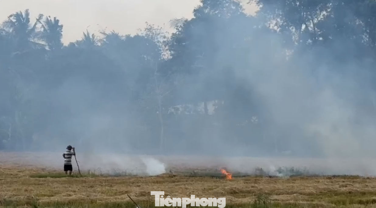 Sau khi thu hoạch lúa, thay vì thu gom rơm ra khỏi đồng ruộng, nông dân vẫn thường đốt đồng để chuẩn bị xử lý đất cho vụ kế tiếp.