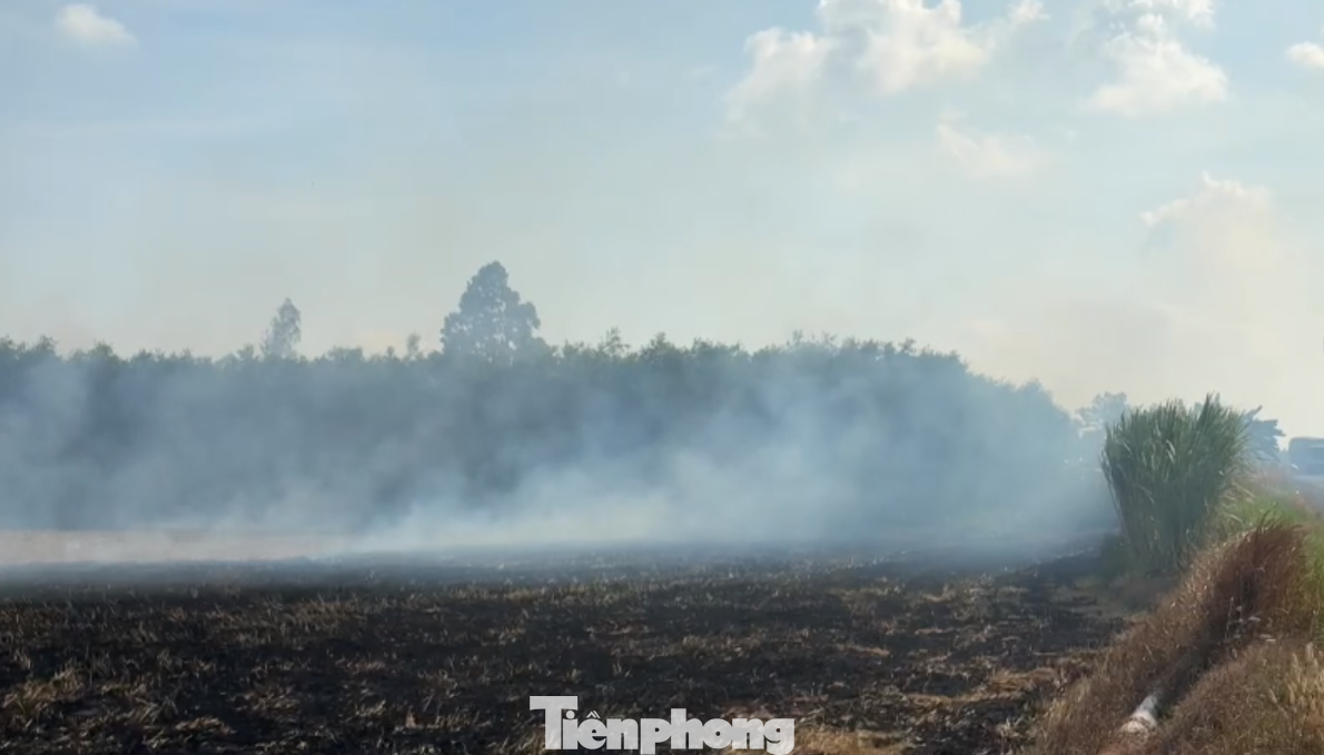 Trên các tuyến đường hai bên có đồng ruộng, không khó để bắt gặp cảnh khói đốt đồng mù mịt, gây cản trở tầm nhìn, khó khăn và nguy hiểm cho người tham gia giao thông.