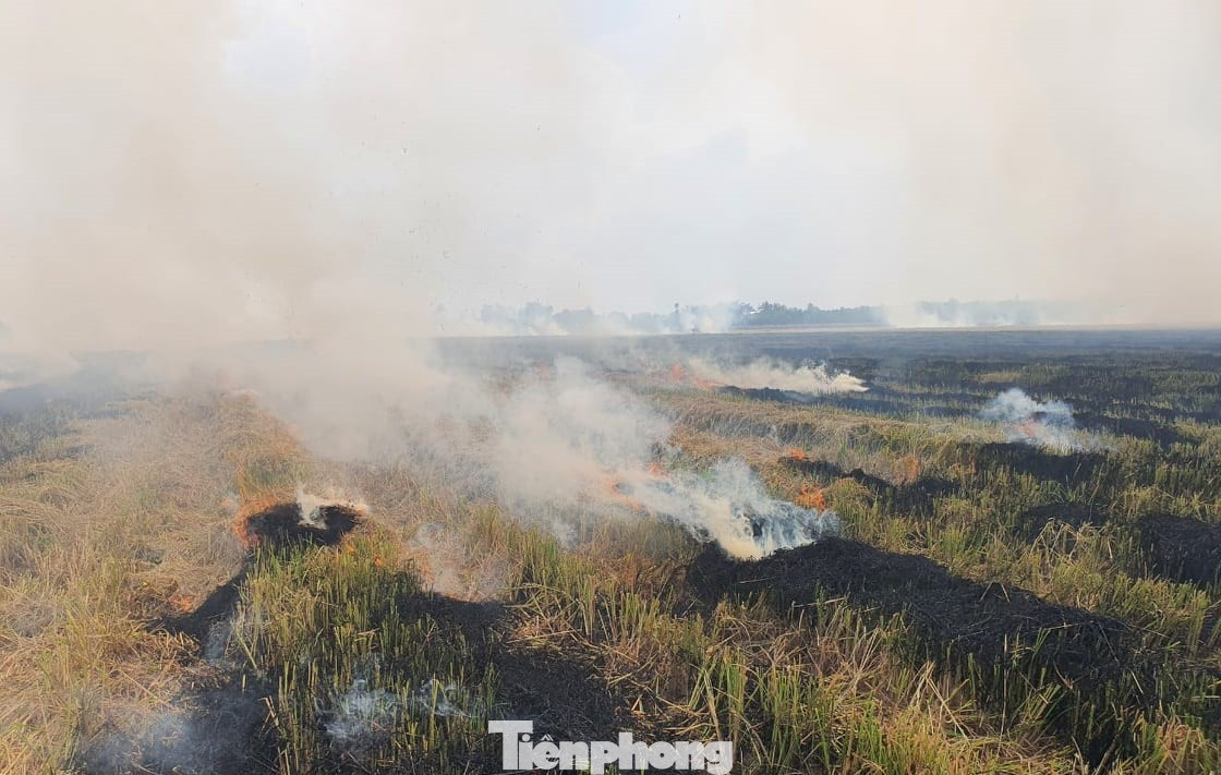 Tại khu vực miền Tây, những ngày qua khi đang giai đoạn cuối thu hoạch vụ Đông Xuân, vụ lúa chính trong năm, nhiều cánh đồng mờ khói do nông dân đốt rơm rạ.