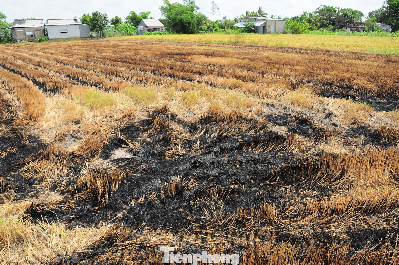 Trên các tuyến đường hai bên có đồng ruộng, không khó để bắt gặp cảnh khói đốt đồng mù mịt, gây cản trở tầm nhìn, khó khăn và nguy hiểm cho người tham gia giao thông.