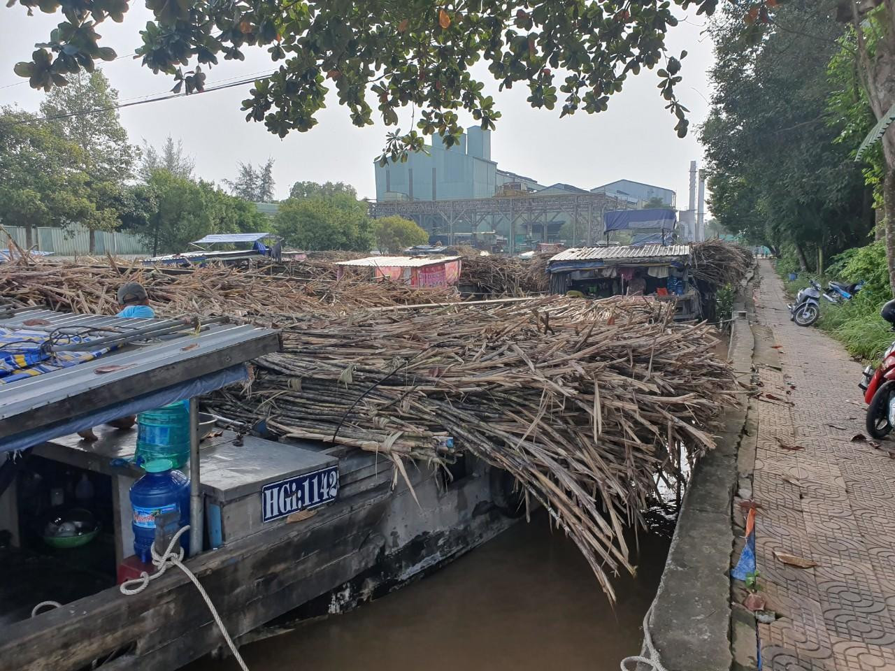 Mía tập kết trước NMĐ Phụng Hiệp. Ảnh: CK Mía tập kết trước NMĐ Phụng Hiệp. Ảnh: CK