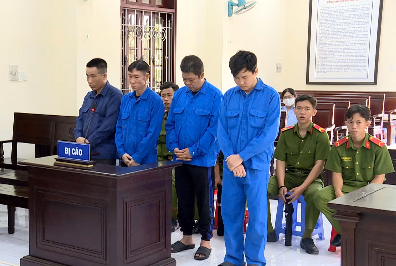 Các bị cáo tại tòa. Các bị cáo tại tòa.