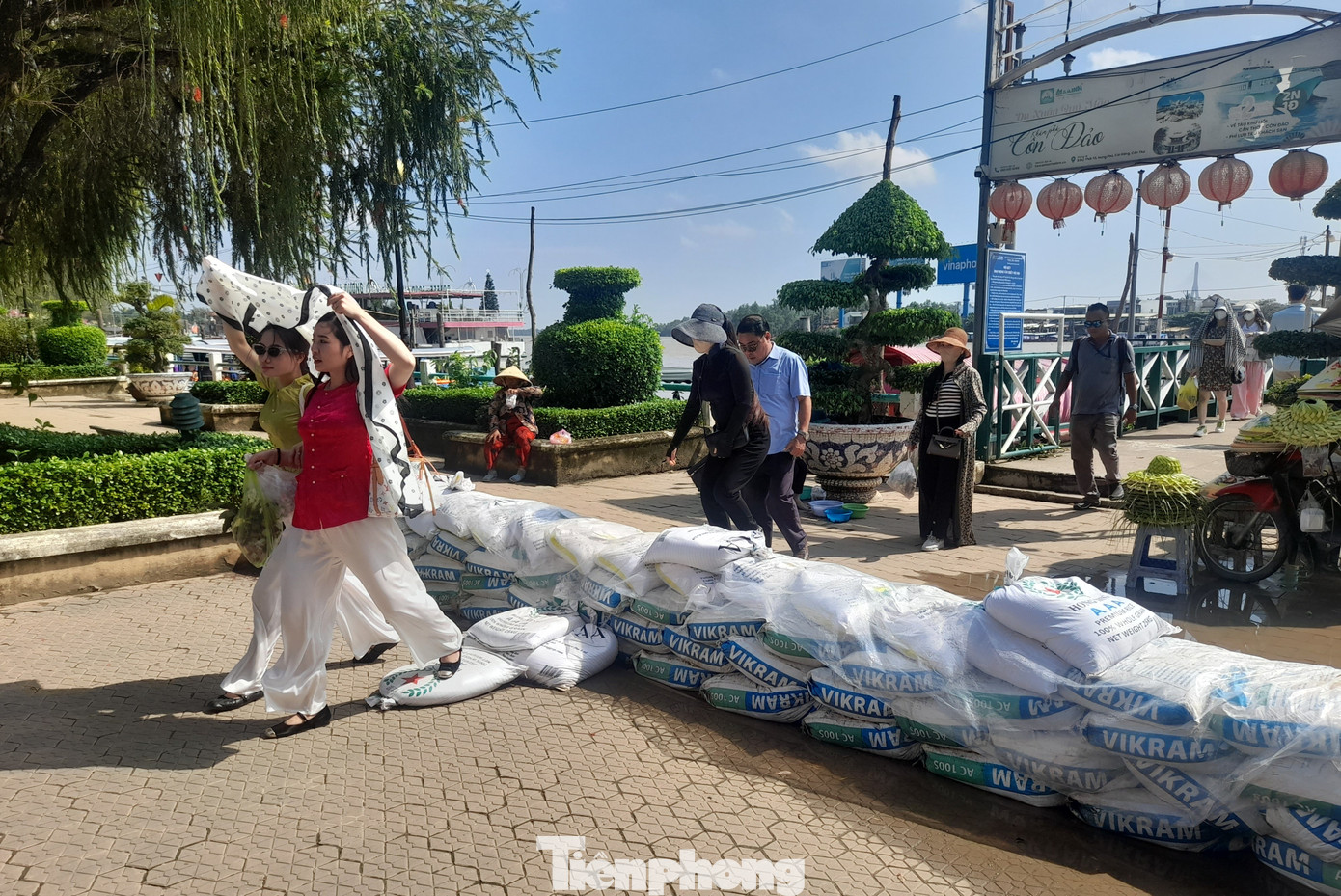 Tại khu vực này có nhiều lối đi ra thuyền tham quan chợ nổi Cái Răng. Trong ảnh: Du khách vừa cập bến sau chuyến du thuyền sáng nay (3/11).