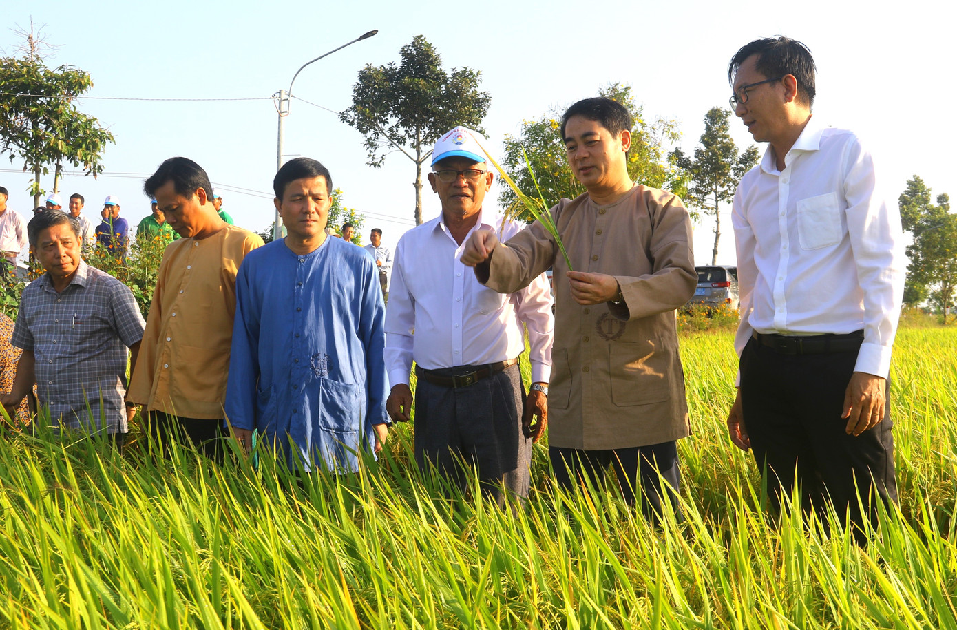 Lãnh đạo tỉnh Hậu Giang thăm đồng đầu năm Giáp Thìn 2024. Lãnh đạo tỉnh Hậu Giang thăm đồng đầu năm Giáp Thìn 2024.