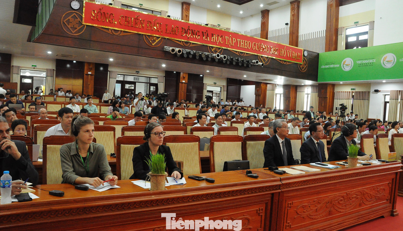 Quang cảnh hội thảo. Ảnh: Cảnh Kỳ.