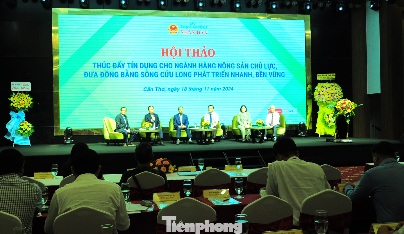 Qaung cảnh hội thảo. Ảnh: CK. Qaung cảnh hội thảo. Ảnh: CK.