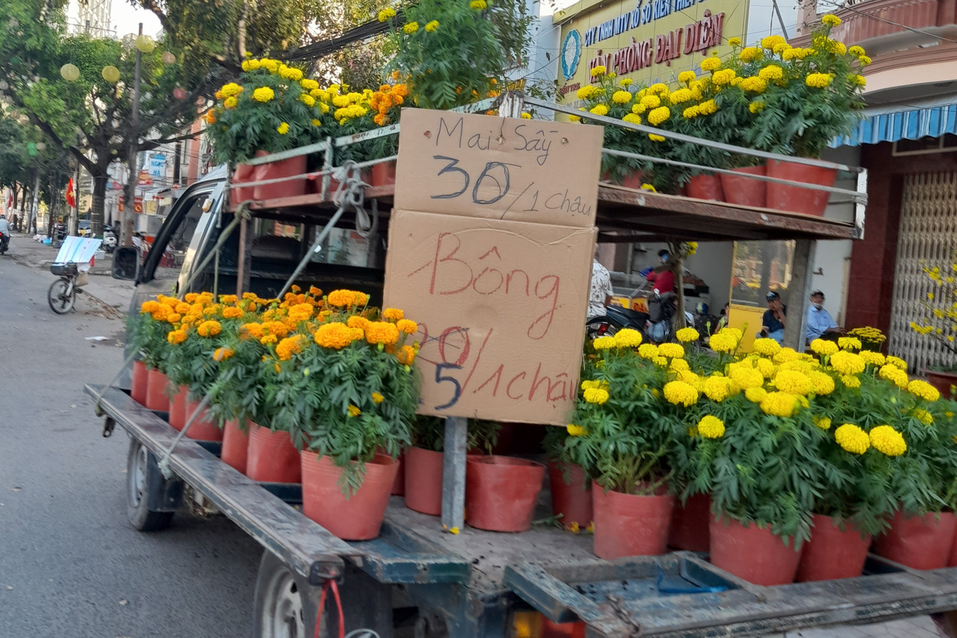 Chủ xe hoa này cho hay, mọi năm chỉ bán tại điểm cố định, đến trưa là xong, dọn về ăn Tết, nhưng năm nay đến gần cuối giờ chiều vẫn phải dùng xe chở đi bán dạo, tính chung lượng bán ra chỉ đạt khoảng hơn 50% so với mọi năm.