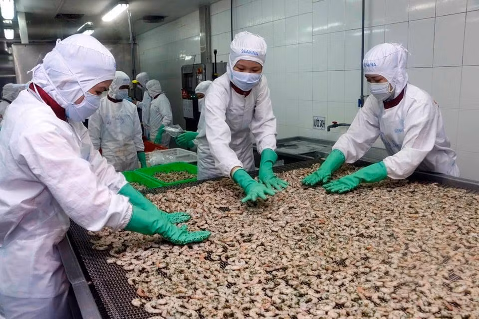 Chế biến tôm ở ĐBSCL. Ảnh: CK