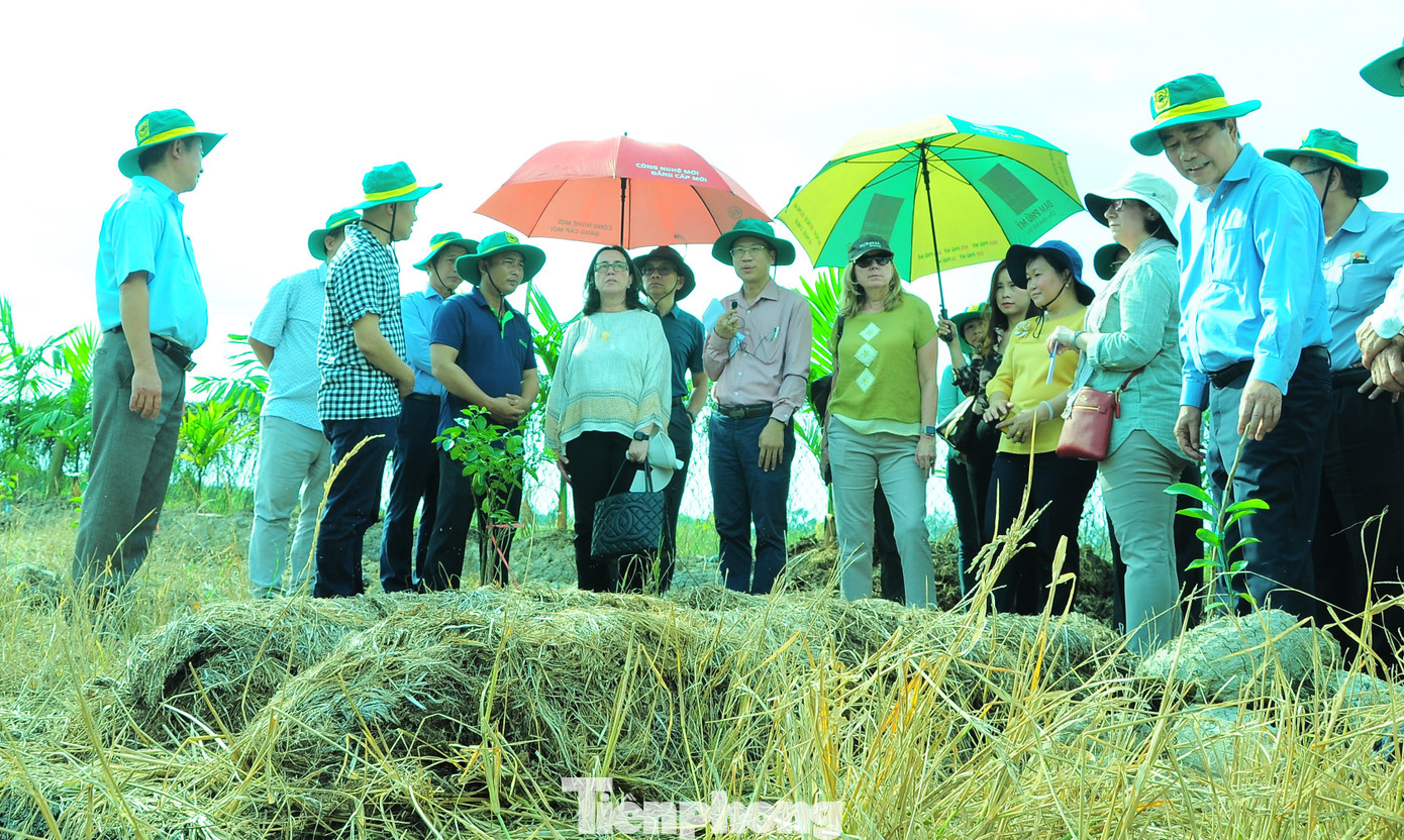 Đoàn công tác Ngân hàng Thế giới, Viện Nghiên cứu lúa gạo quốc tế thăm mô hình nông nghiệp tuần hoàn ở Cần Thơ. Ảnh: CK.
