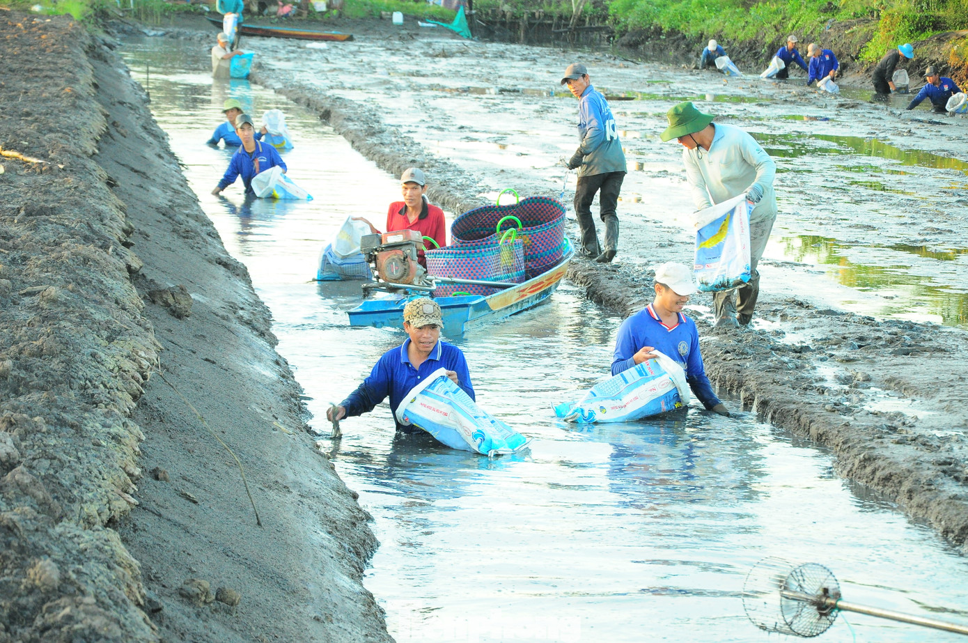Công việc kéo dài vài tiếng đồng hồ, cho đến lúc trời sáng, nắng lên.
