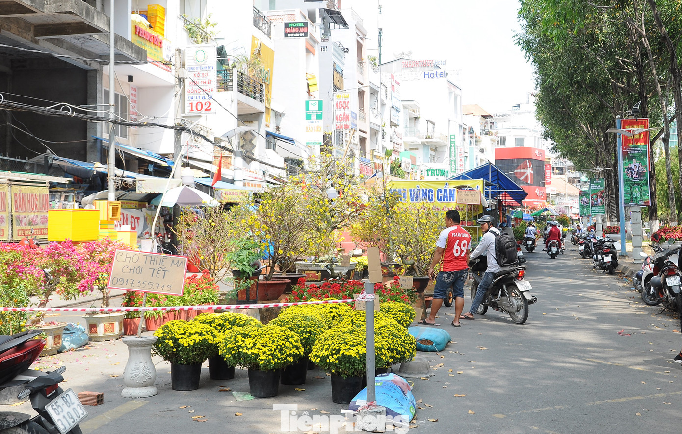 Chợ hoa ở bến Ninh Kiều cũng khá thưa vắng khách xem và mua hoa.
