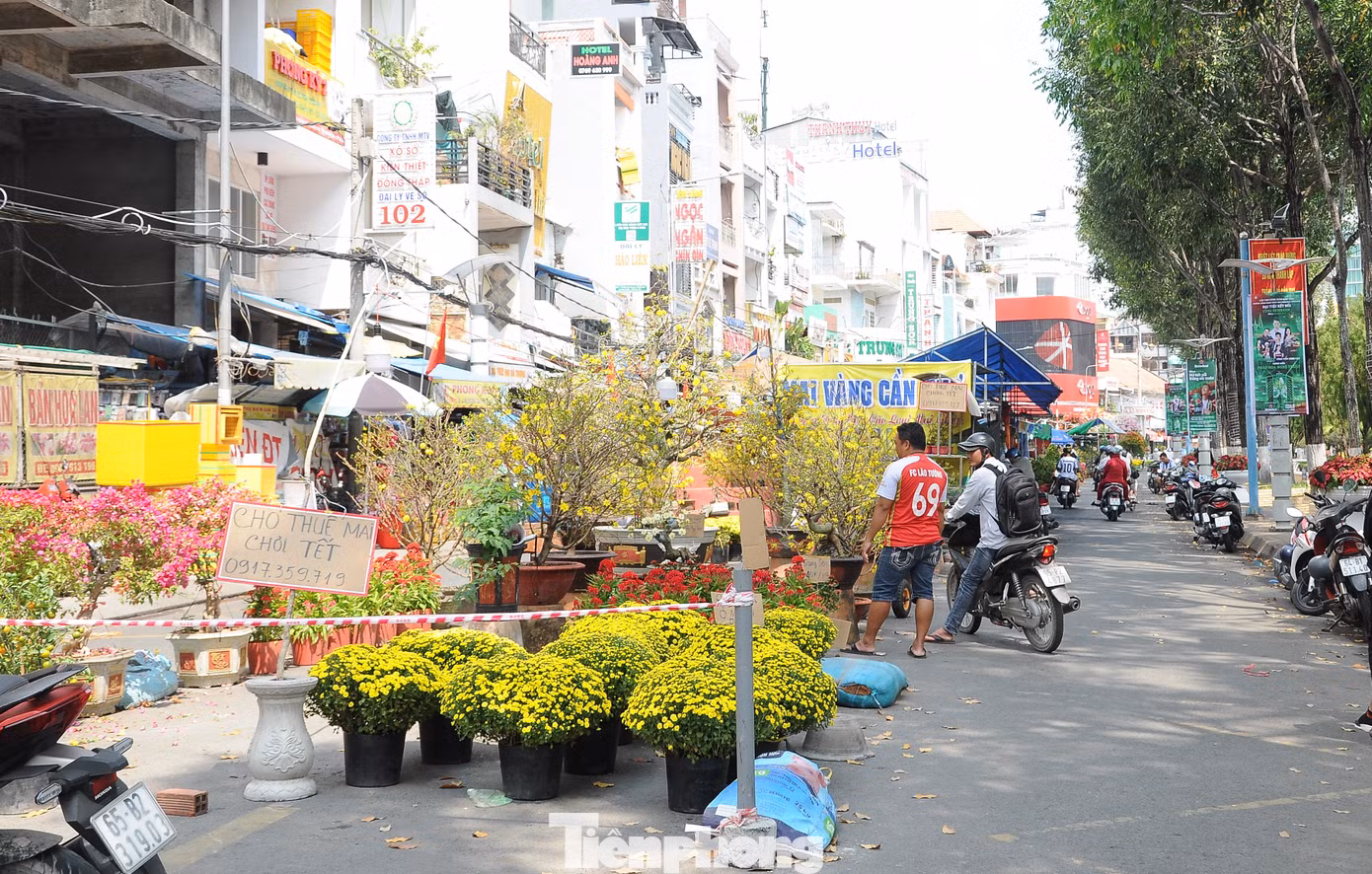 Chợ hoa ở bến Ninh Kiều cũng khá thưa vắng khách xem và mua hoa.