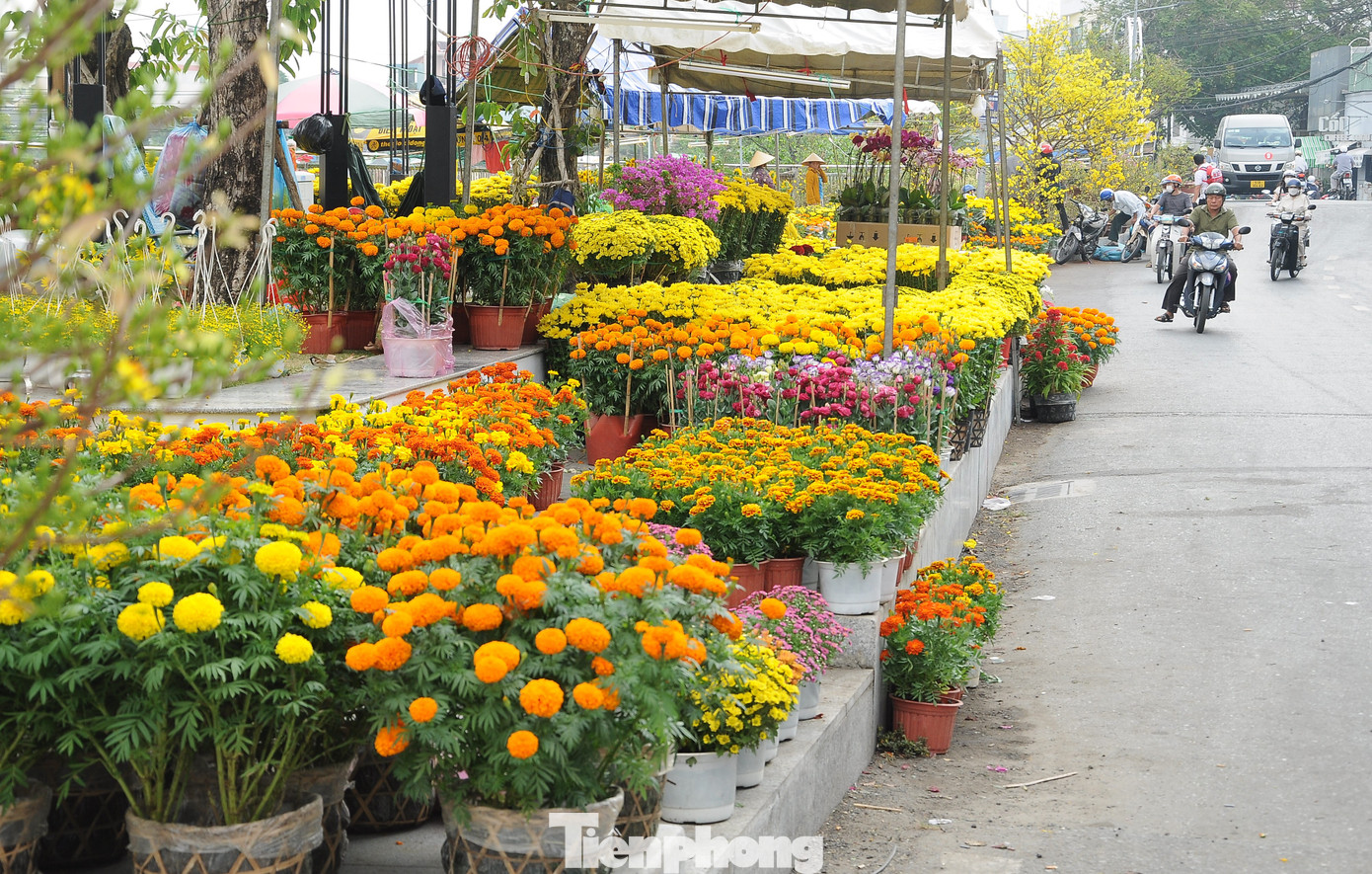 Điểm bán hoa dịp Tết hàng năm ở đường Hoàng Văn Thụ sáng 27 Tết, hoa bung sắc trong nắng ấm, nhưng vẫn thưa thớt khách hỏi mua.