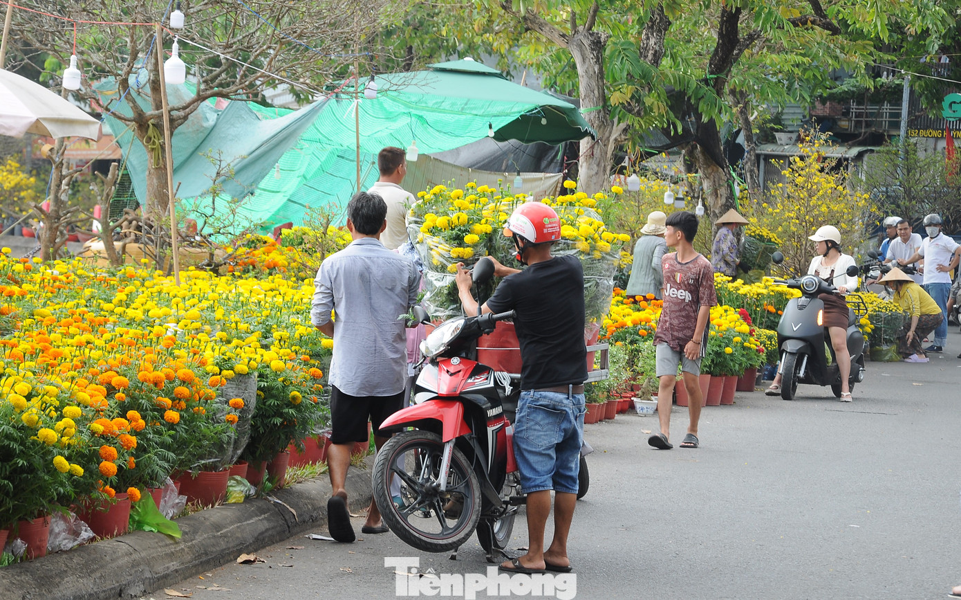 Bên cạnh số ít người chọn những cây "xứng tầm", đa phần khách hàng chọn phân khúc bình dân, cây nhỏ, giá thấp cho có không khí Tết.
