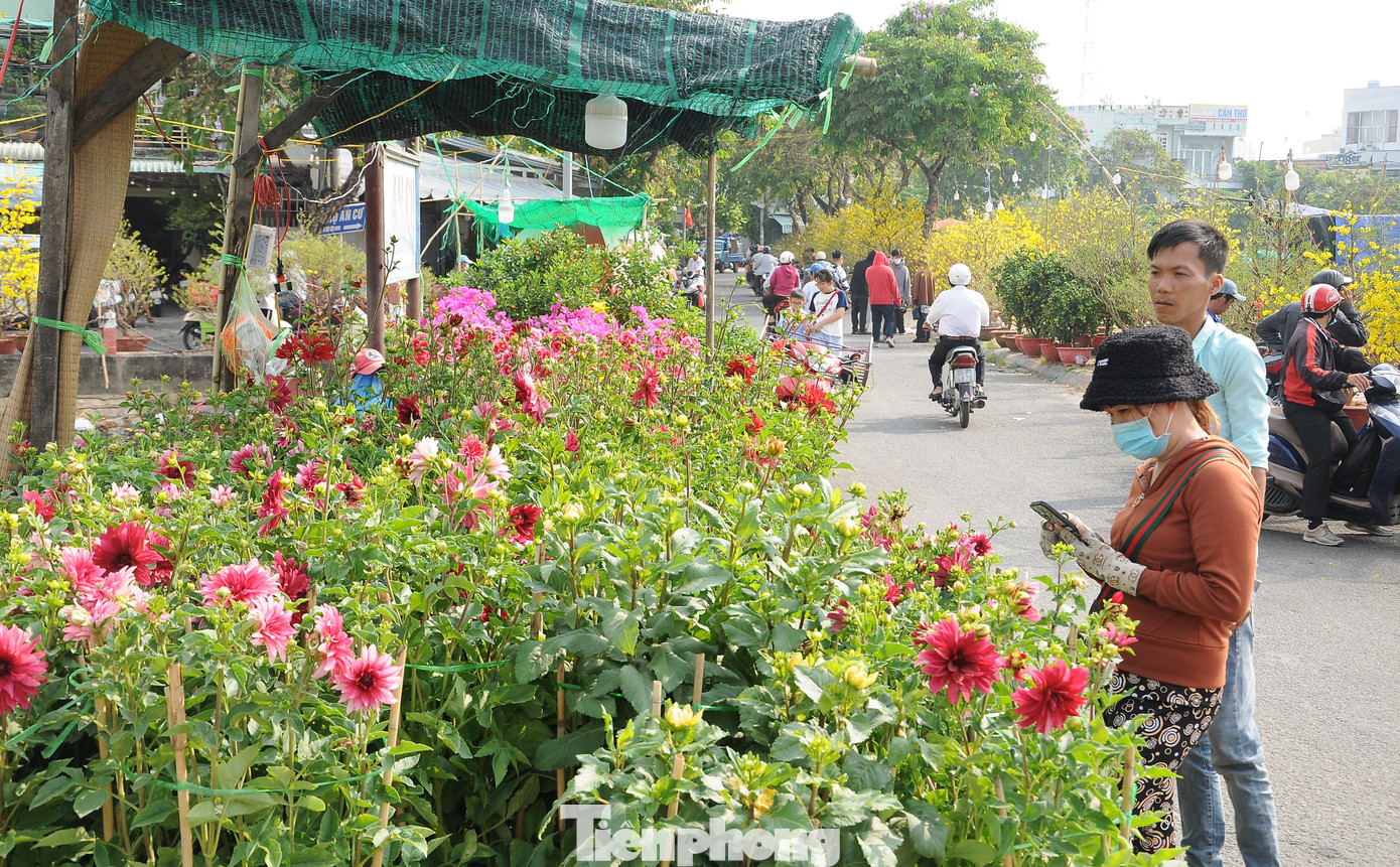 Người xem hoa nhưng đắn đo khi lựa chọn về giá.