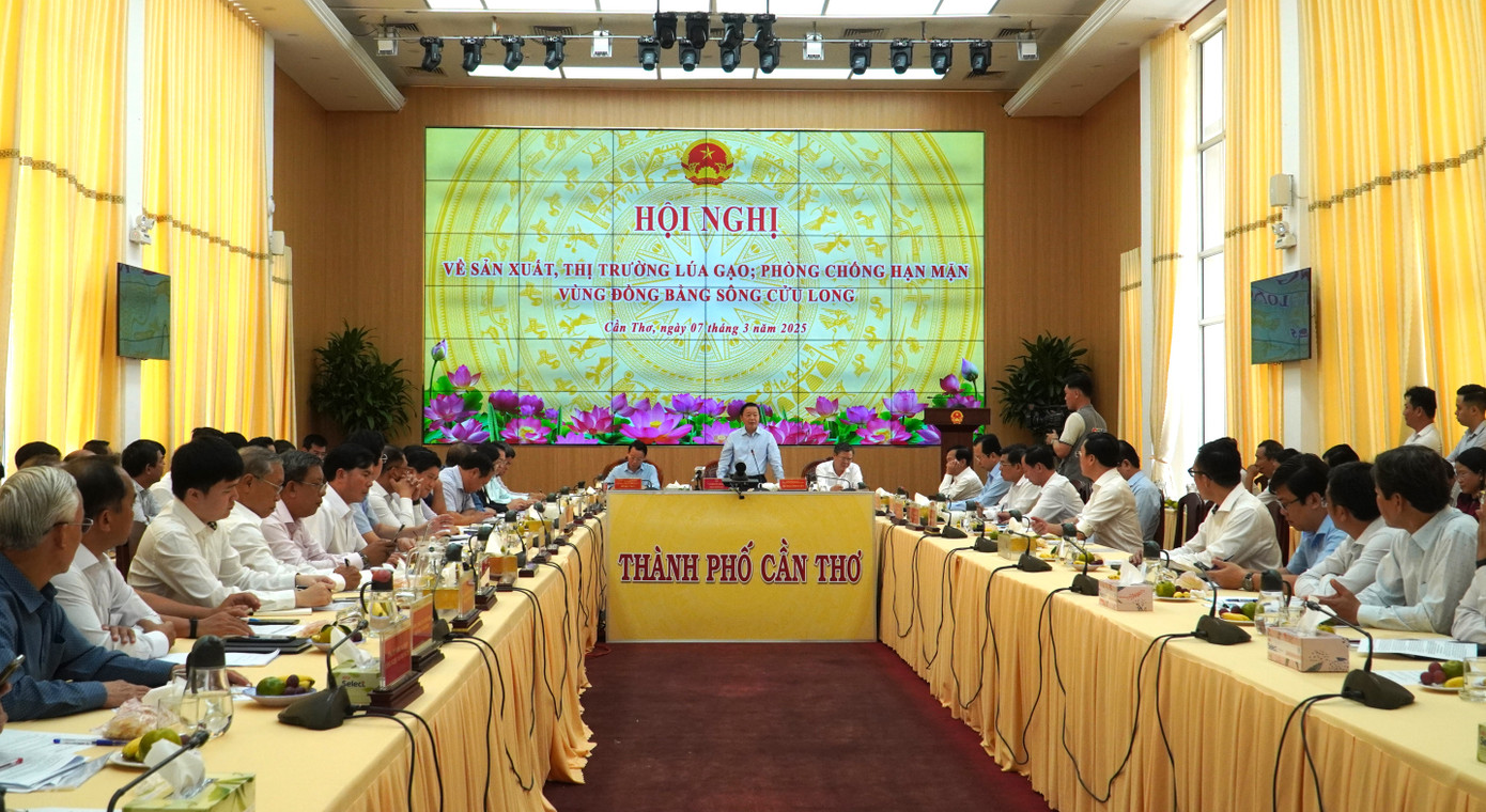 Quang cảnh hội nghị. Quang cảnh hội nghị.