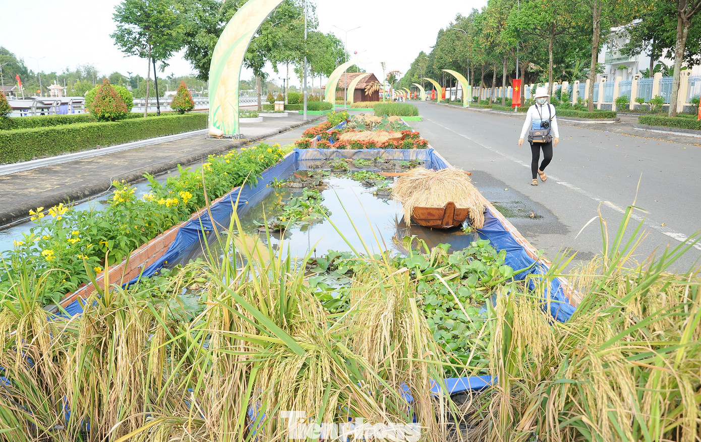 Triển lãm con đường lúa gạo tái hiện sống động nền sản xuất lúa gạo Việt Nam từ sơ khai đến hiện đại, với 4 giai đoạn. Triển lãm con đường lúa gạo tái hiện sống động nền sản xuất lúa gạo Việt Nam từ sơ khai đến hiện đại, với 4 giai đoạn.