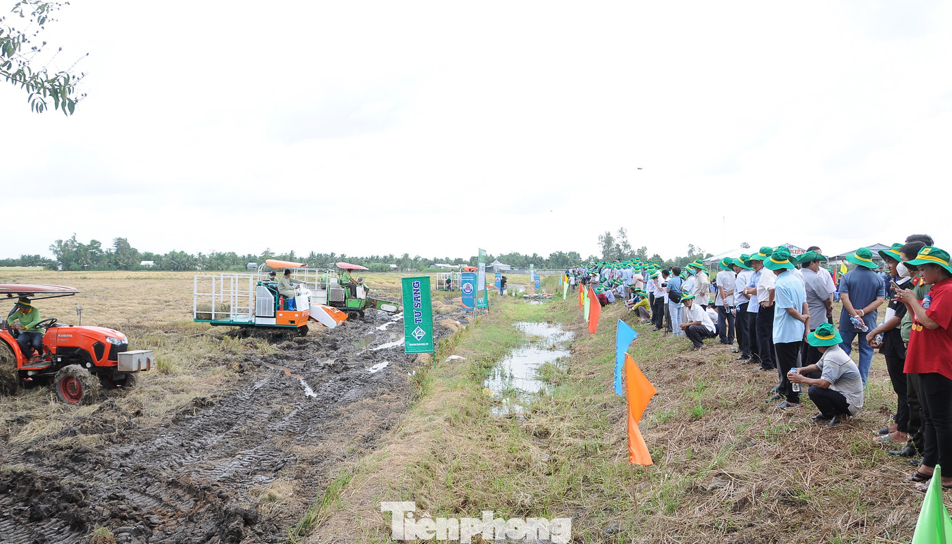 Đông đảo người dân xem trình diễn.