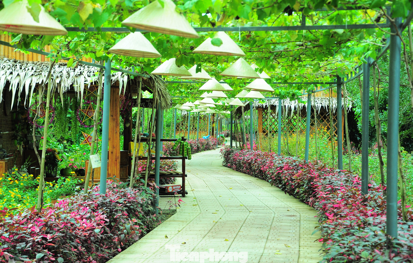 Không gian thơ mộng trong khu sinh thái ở xã Thới Hưng, huyện Cờ Đỏ, TP. Cần Thơ. Không gian thơ mộng trong khu sinh thái ở xã Thới Hưng, huyện Cờ Đỏ, TP. Cần Thơ.