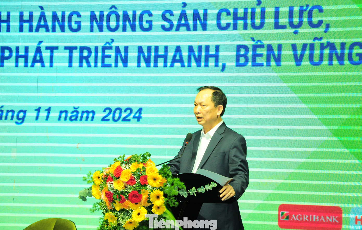 Phó Thống đốc NHNN Đào Minh Tú phát biểu tại hội thảo. Ảnh: CK.