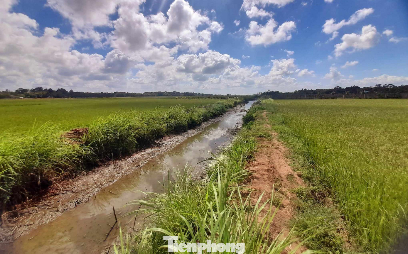 Đồng bằng sông Cửu Long đang ở cao điểm mùa khô, nhiều vùng ven biển thiếu nước ngọt cho sinh hoạt và sản xuất. Ảnh: CK