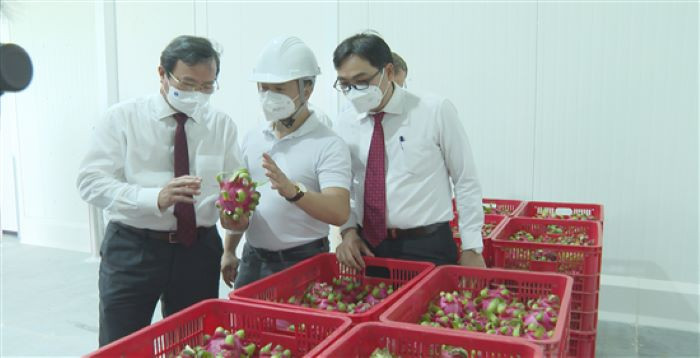 Đại biểu tham quan kho lạnh thời điểm khánh thành dự án. Ảnh: Ngọc Hồng.