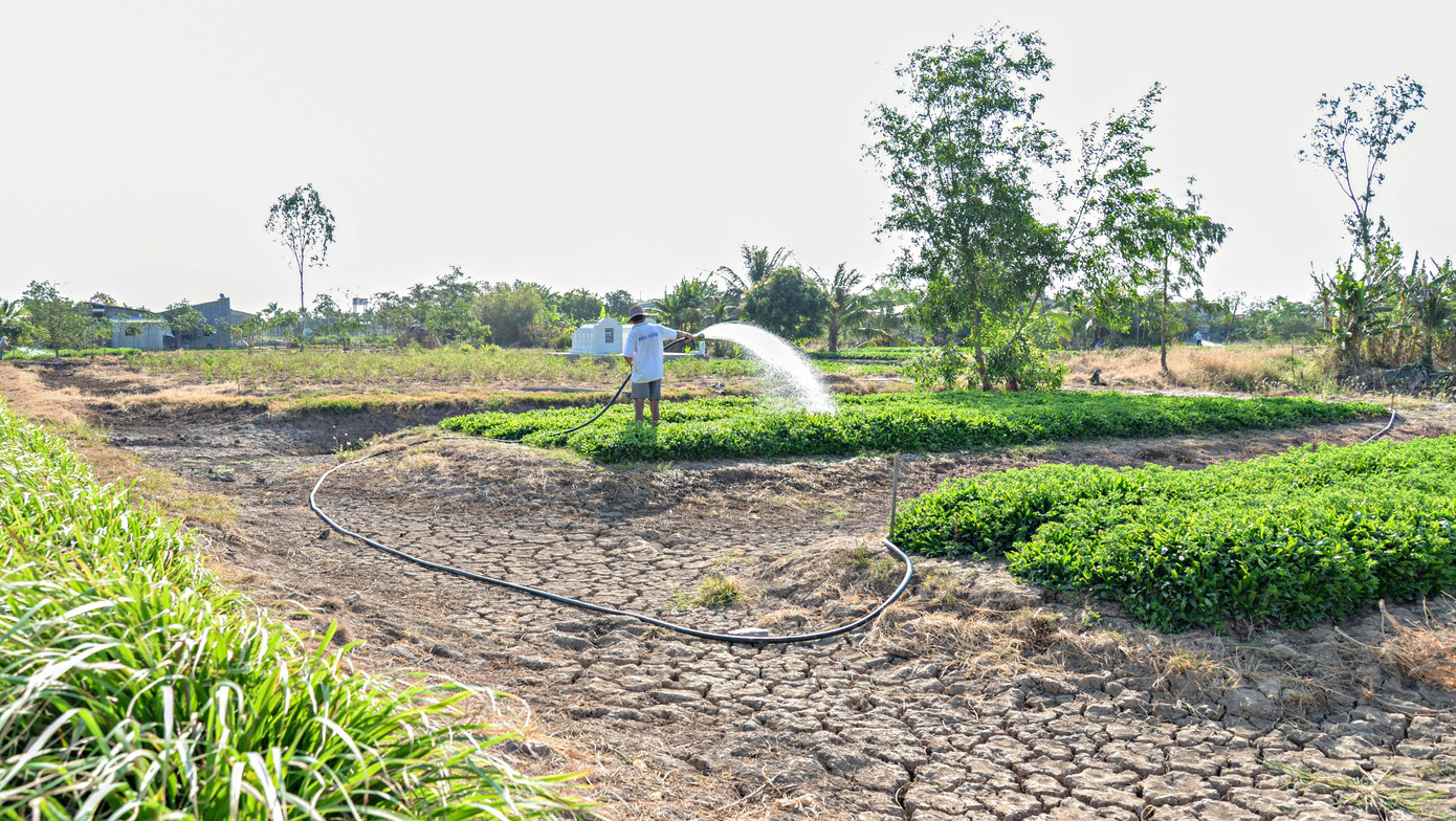 Tại ĐBSCL, 40% tổng lượng nước ngầm được khai thác để sử dụng cho canh tác nông nghiệp. Ảnh: CK