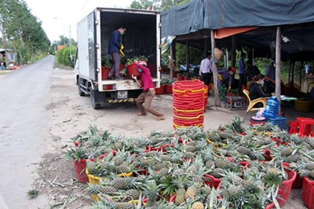 Có 13 điểm tập kết trên toàn tỉnh. Có 13 điểm tập kết trên toàn tỉnh.