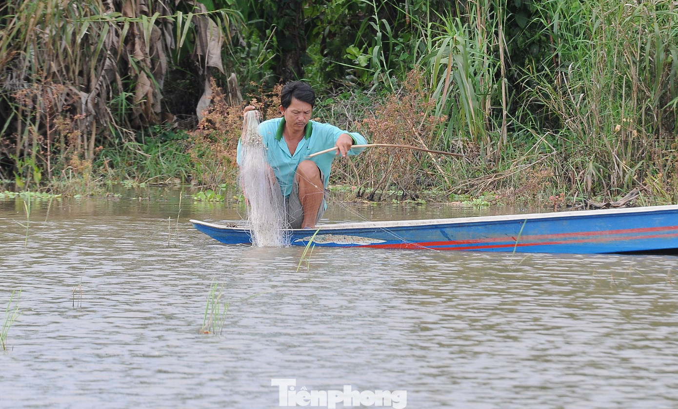 Không sôi động như ở đầu nguồn An Giang hay Đồng Tháp, người dân mưu sinh mùa nước nổi nơi hạ nguồn Hậu Giang có phần "sống chậm" hơn.