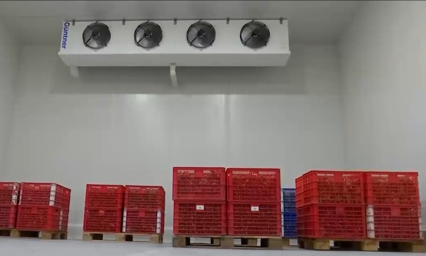 Bên trong kho lạnh. Ảnh: Ngọc Hồng.