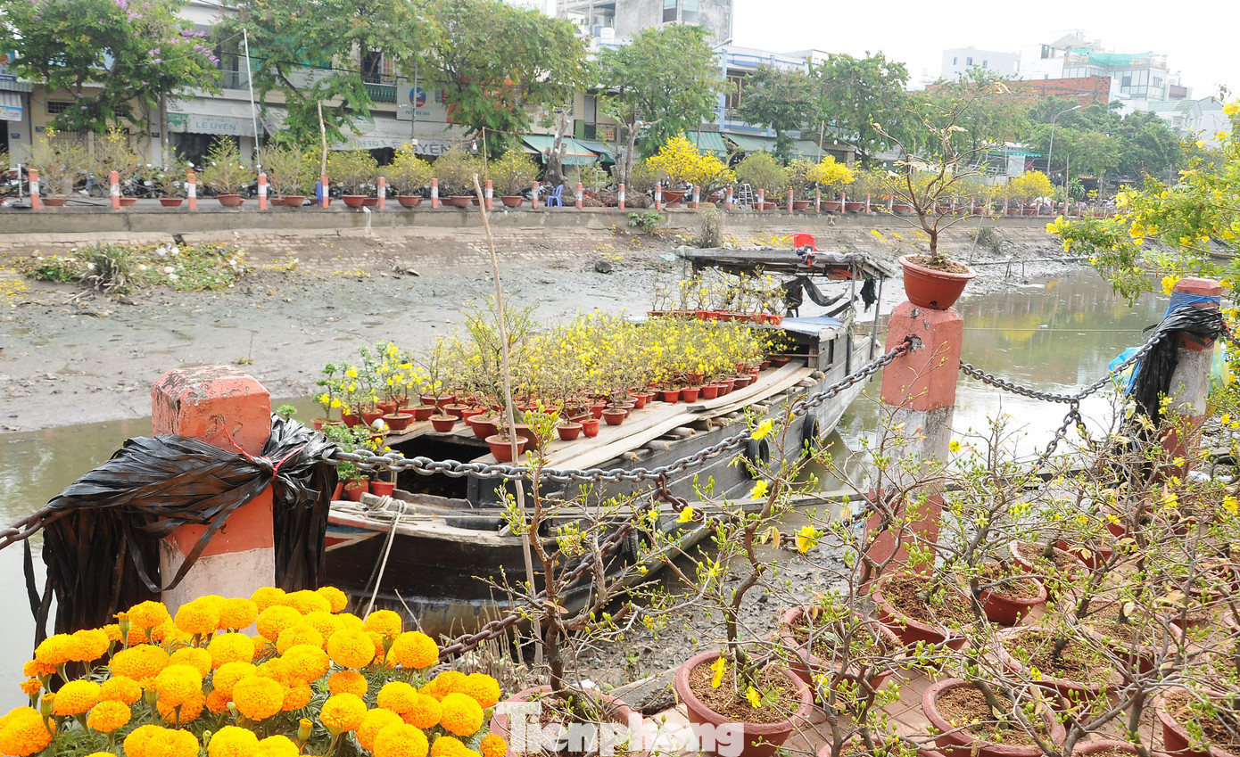 Hoa tấp nập trên bến dưới thuyền.