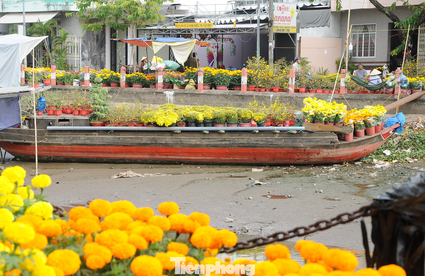 Hoa tấp nập trên bến dưới thuyền.