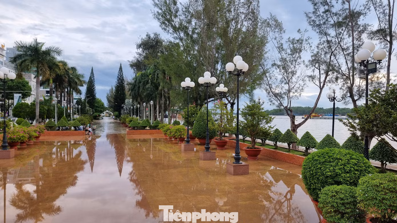 Nước sông Cần Thơ tràn vào công viên Bến Ninh Kiều.