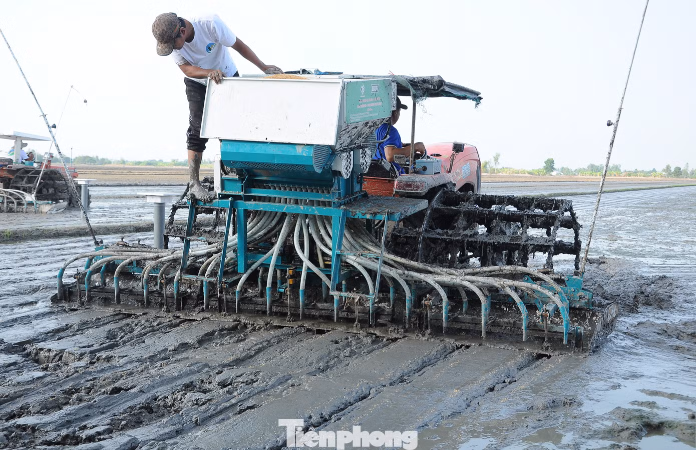Xuống giống bằng máy sạ hàng kết hợp vùi phân. Ảnh: CK