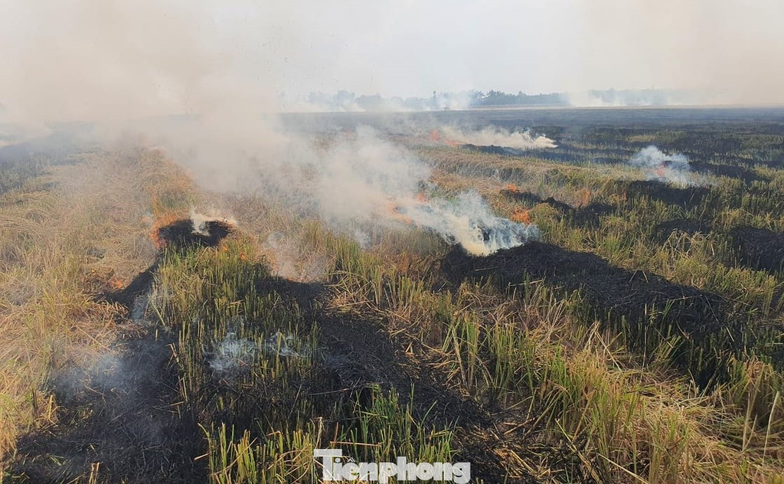 Đốt rơm rạ hai bên quốc lộ 61C đoạn qua Hậu Giang.