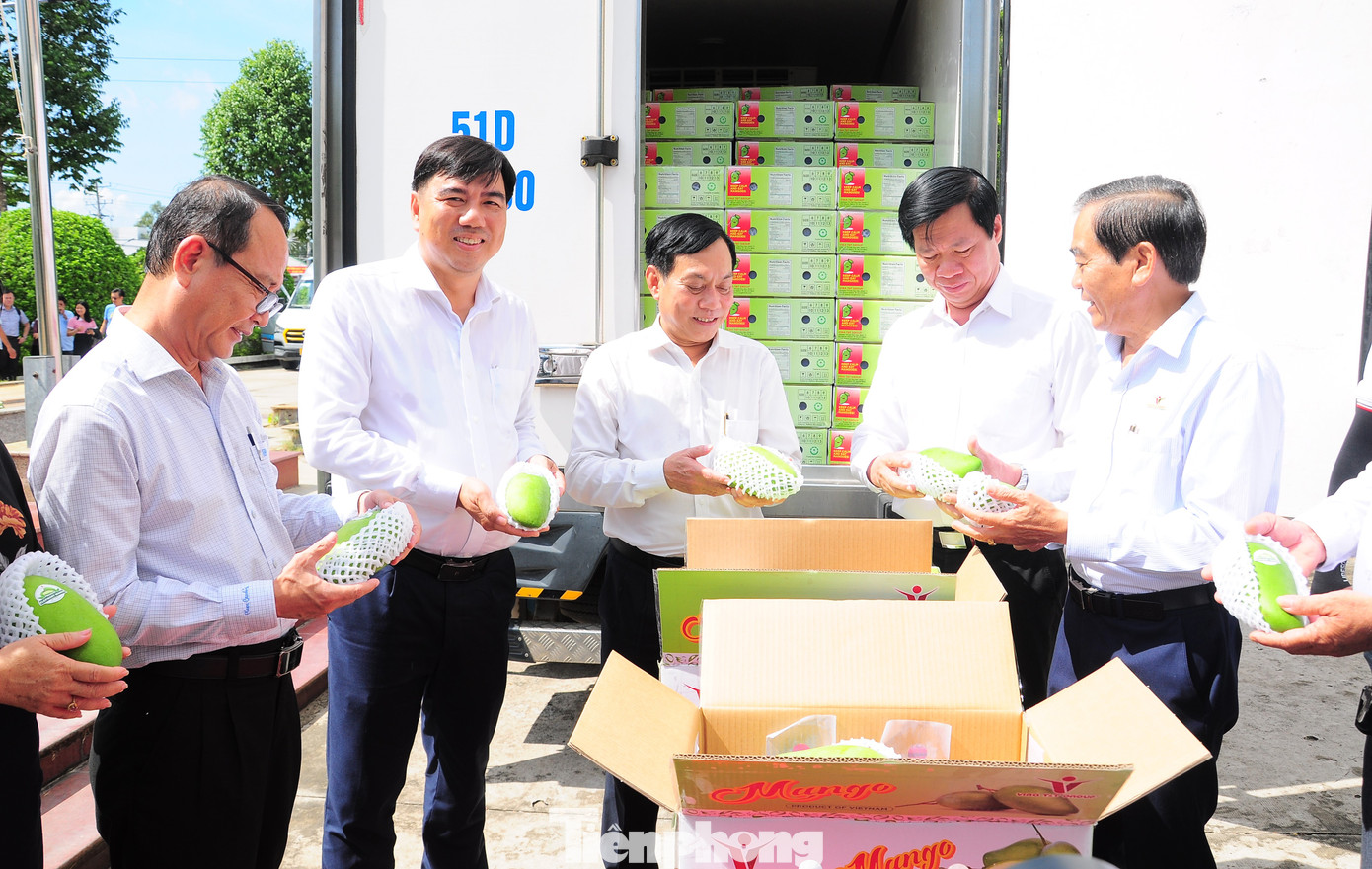 Lô hàng xuất khẩu là 2 tấn xoài tượng da xanh ở huyện Cờ Đỏ. Ảnh: CK.