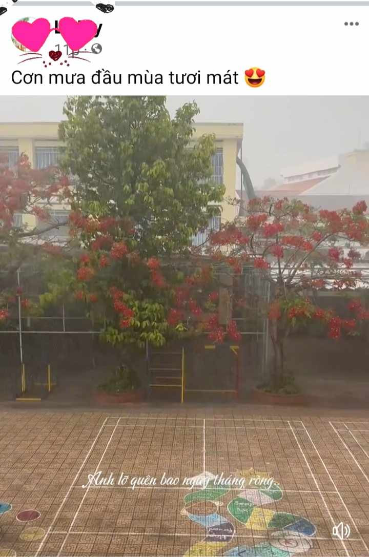 Nhiều người cùng chia sẻ ở nhiều địa điểm khác nhau ở Cần Thơ, cho thấy cơn mưa "vàng" xuất hiện rộng trên địa bàn thành phố, mặc dù kéo dài không lâu.