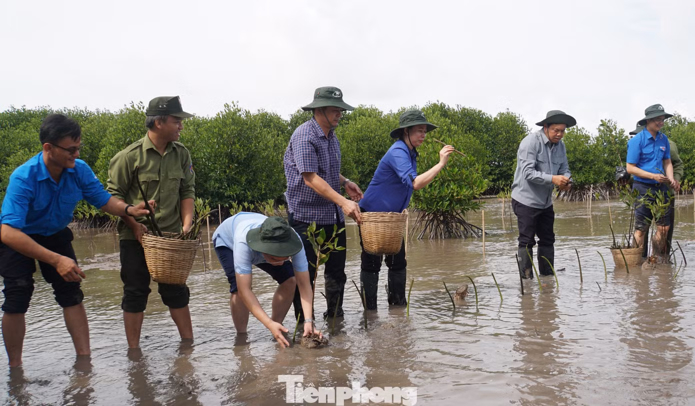 Phó Chủ tịch nước Võ Thị Ánh Xuân, Bí thư thứ nhất T.Ư Đoàn Bùi Quang Huy tham gia trồng cây tại Vườn Quốc gia Mũi Cà Mau.