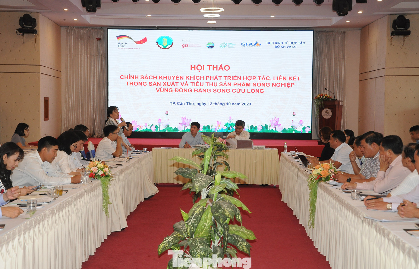 Quang cảnh hội thảo. Ảnh: CK.