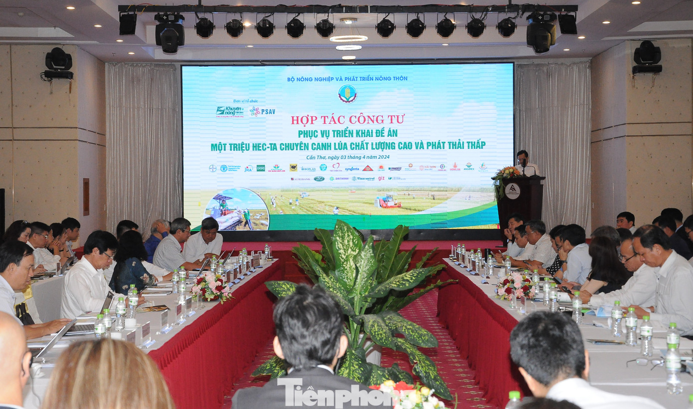 Quang cảnh hội thảo. Ảnh: CK