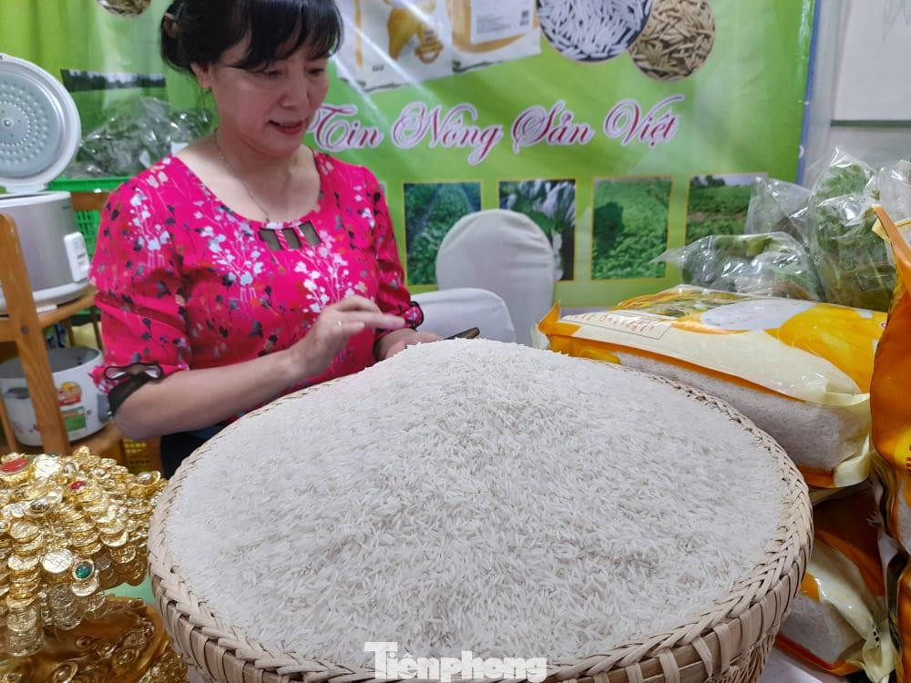 Giá gạo Việt Nam tăng vượt gạo Thái Lan.