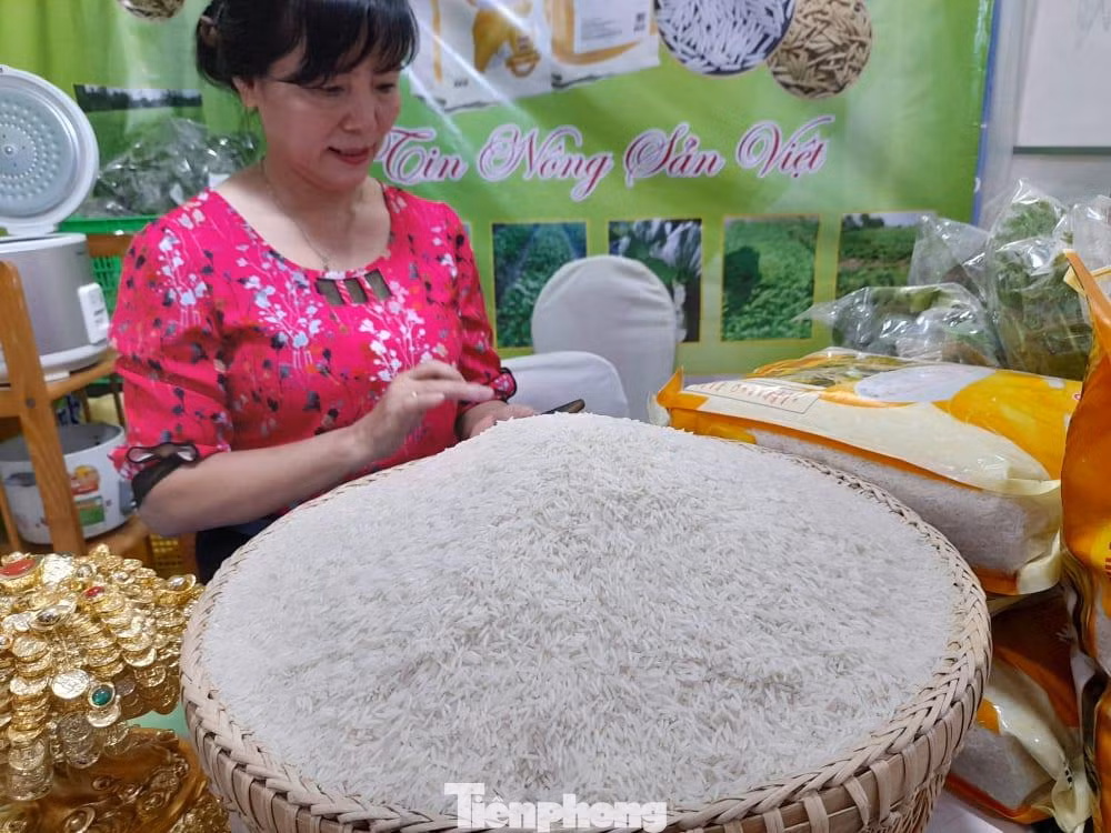 Giá gạo Việt Nam tăng vượt gạo Thái Lan.