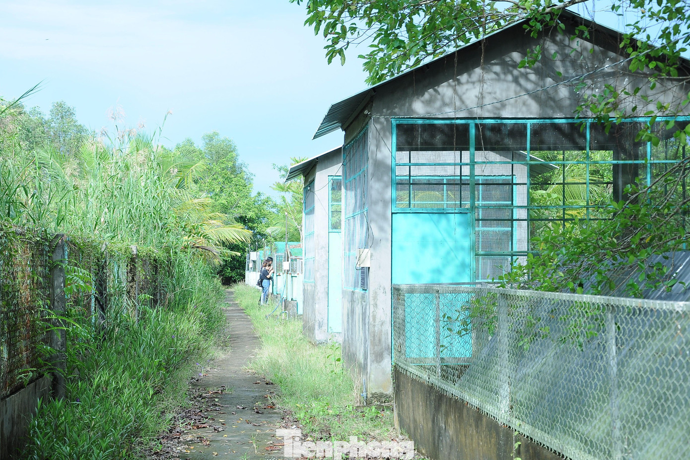 Trung tâm Cứu hộ, bảo tồn và phát triển sinh vật tại VQG U Minh Thượng được thành lập theo Quyết định 1500/QĐ-UBND ngày 15/7/2014 của UBND tỉnh Kiên Giang.