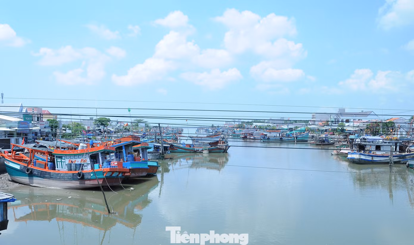 Khu neo đậu tàu cảng cá Định An, tỉnh Trà Vinh. Ảnh: CK