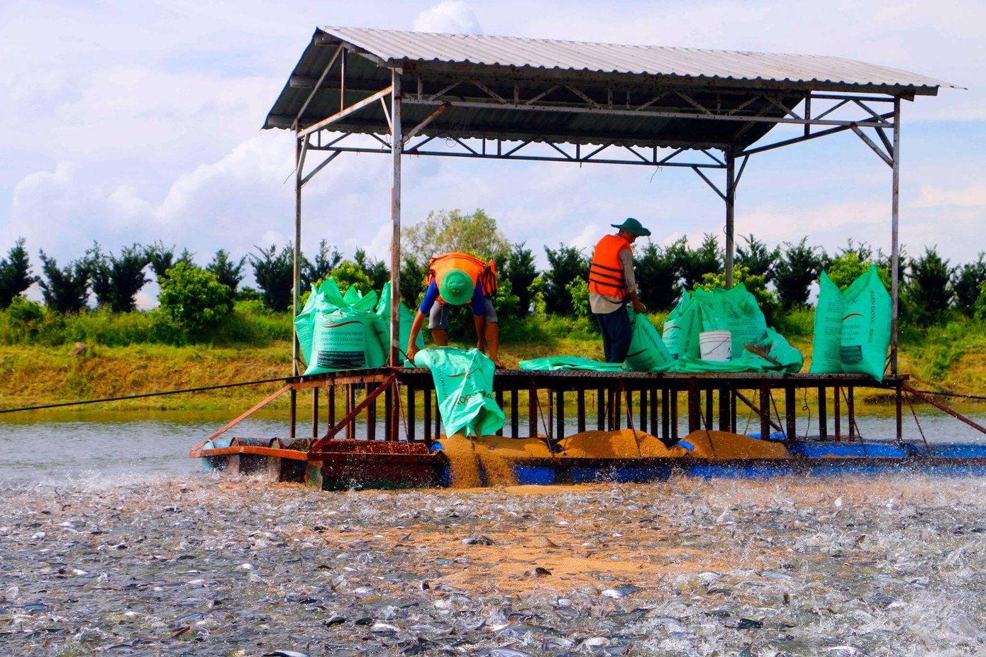 Xuất khẩu cá tra hồi phục sau thời gian dài ảm đạm ảnh 1