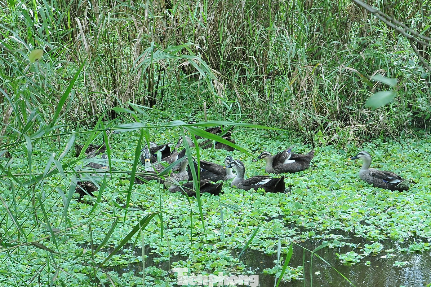 Nơi đây có hệ sinh thái động thực vật đa dạng.