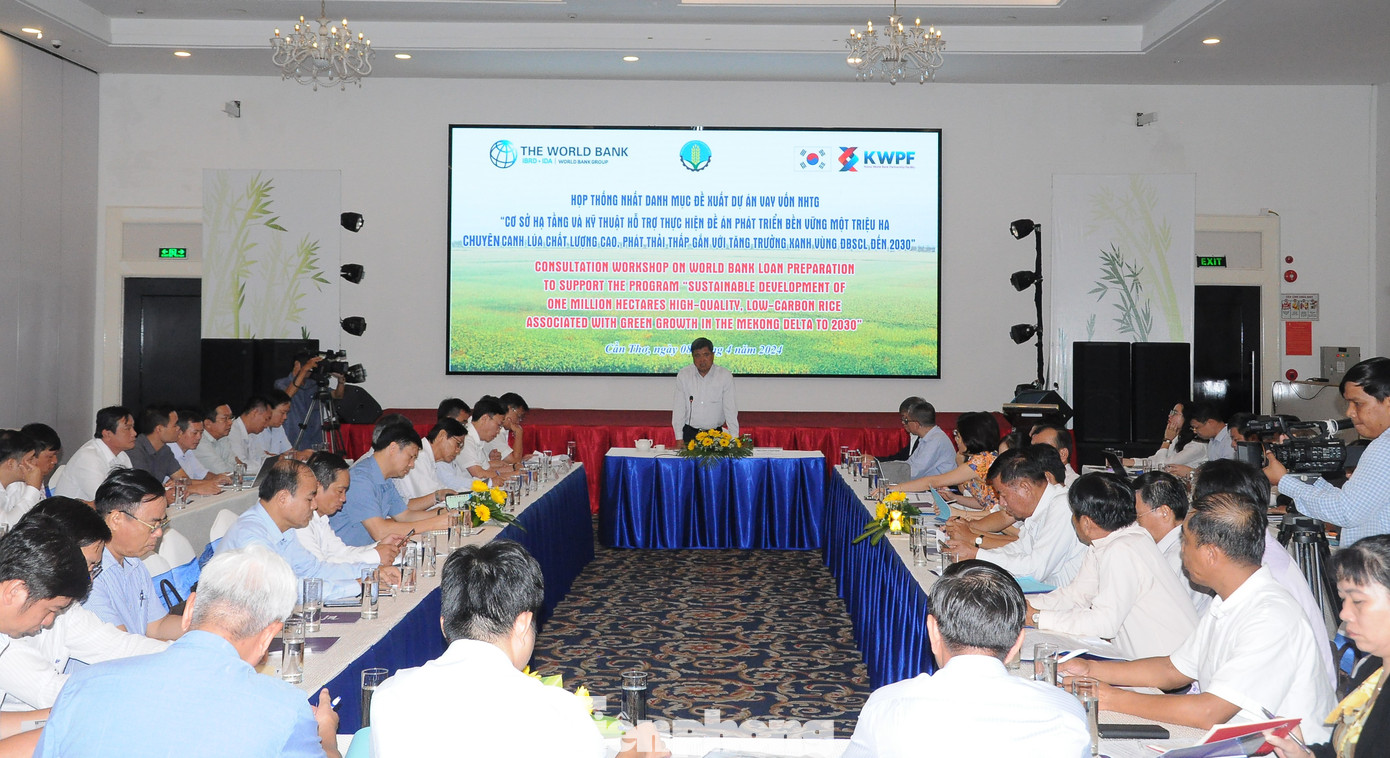 Quang cảnh cuộc họp. Ảnh: CK.