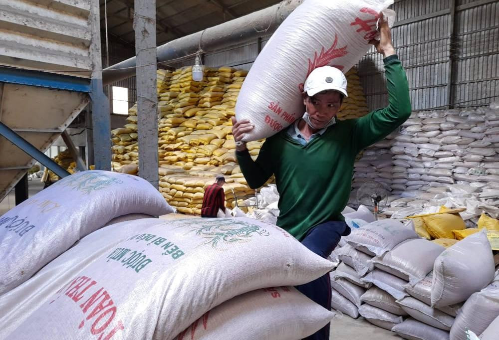 Tình hình tiêu thụ lúa gạo tại ĐBSCL đang gặp khó. Ảnh:Cảnh Kỳ